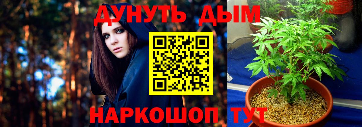 Конопля планчик Знаменск